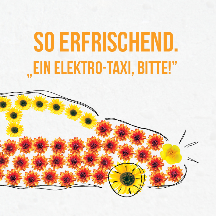 VORSCHAUBILD Eletrotaxi5 Melanie Pichler