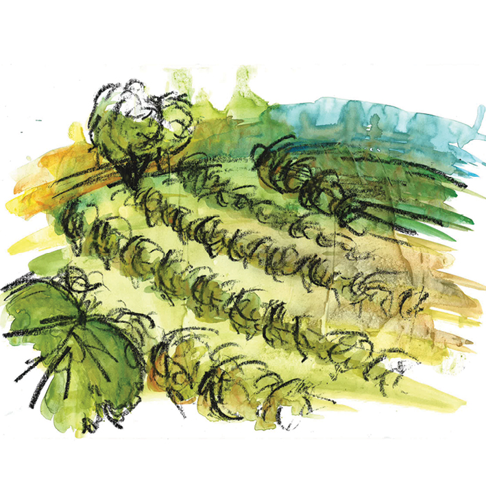 VORSCHAUBILD Landschaft Melanie Pichler