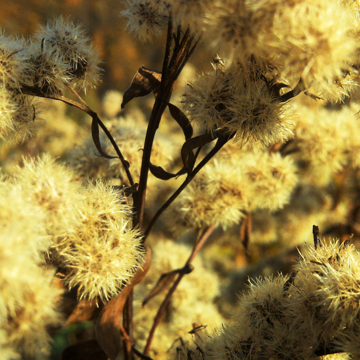 VORSCHAUBILD dFotografie Melanie Pichler